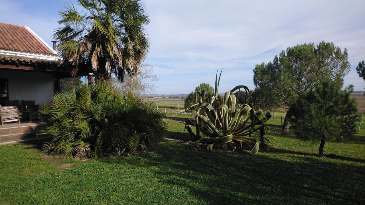 Lodge Monte Do Sobral Alcáçovas Buitenkant foto