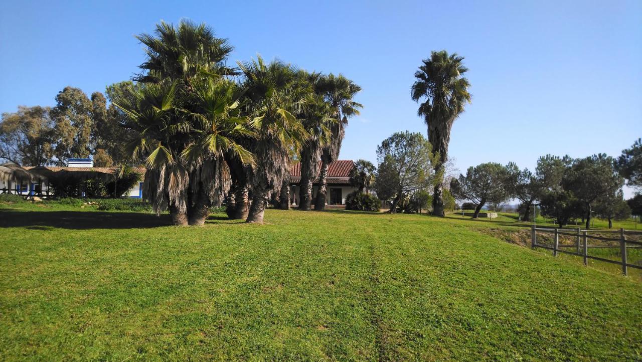 Lodge Monte Do Sobral Alcáçovas Buitenkant foto