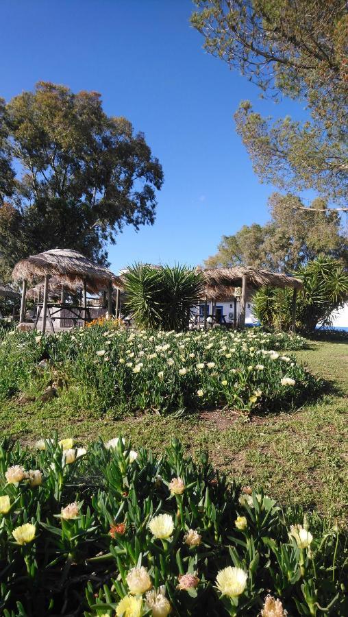 Lodge Monte Do Sobral Alcáçovas Buitenkant foto
