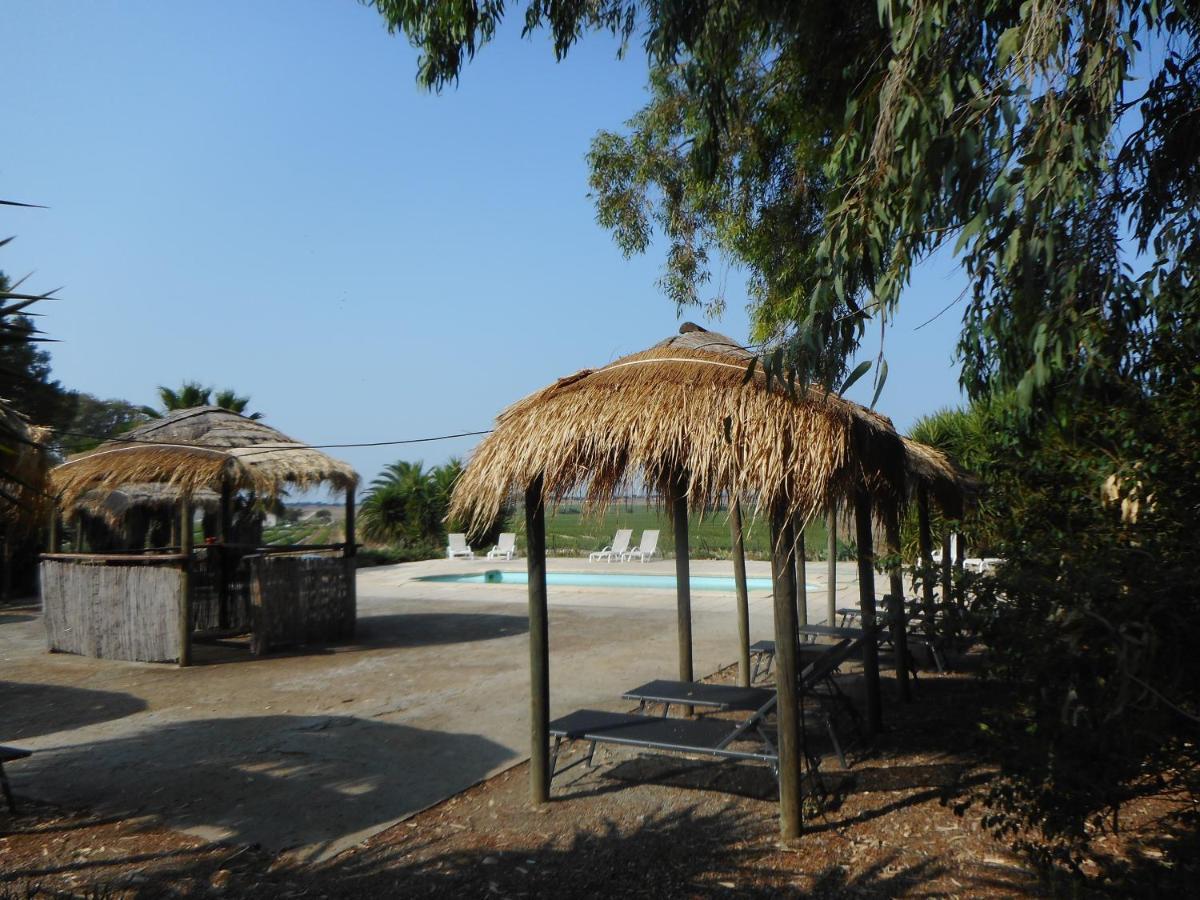 Lodge Monte Do Sobral Alcáçovas Buitenkant foto